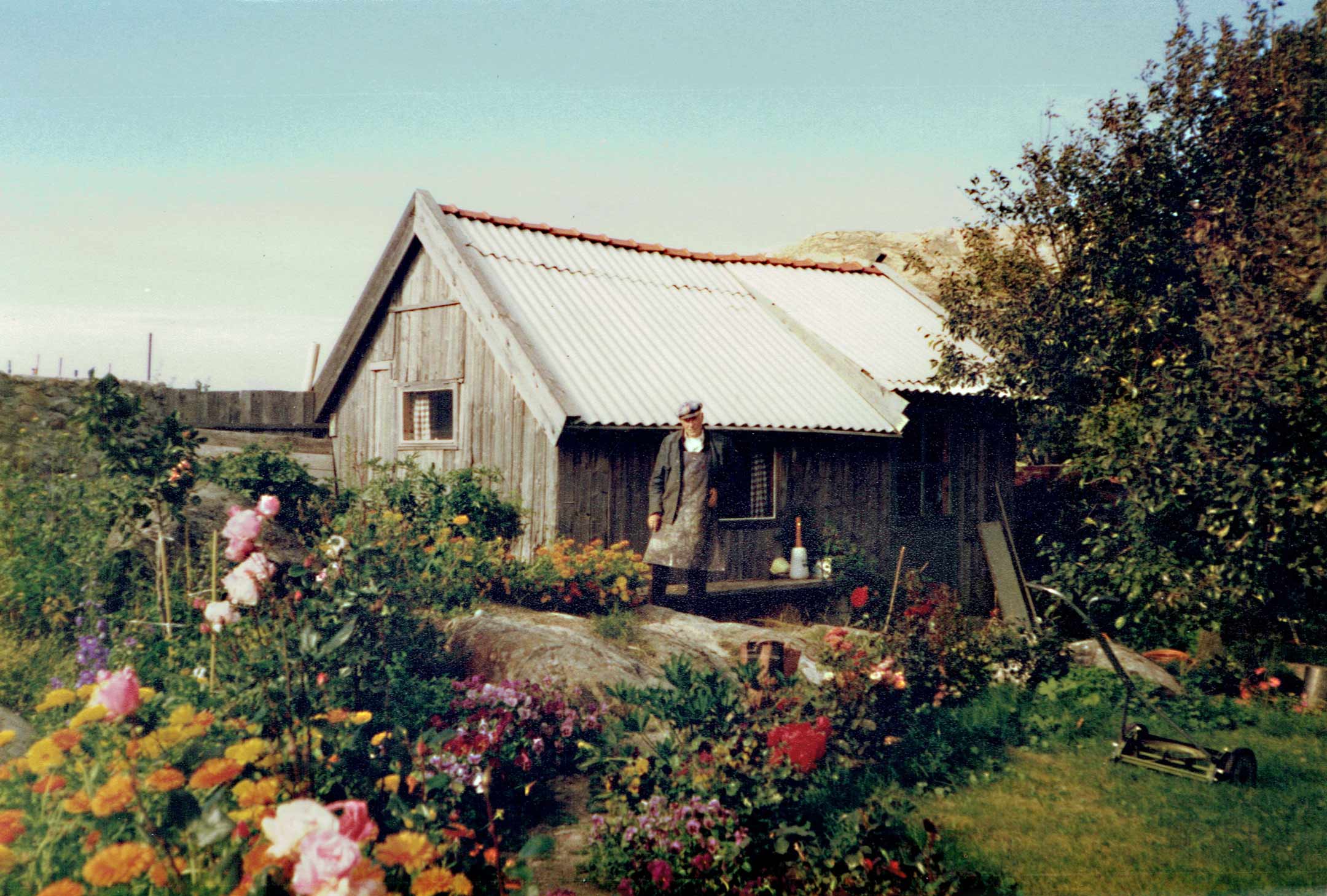 Lundberg-stuga-blommor