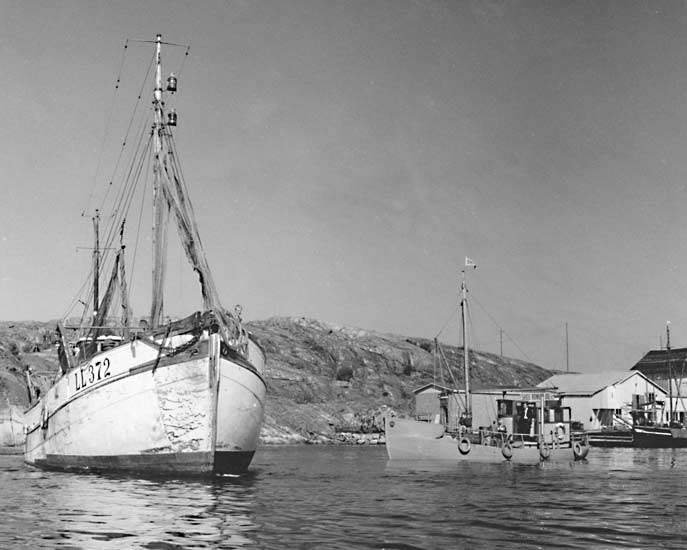 Ishuset-LL372-Certina-tankbat
